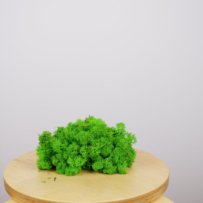 soklanmış-spagnum-yosun-yeşil-75-gr